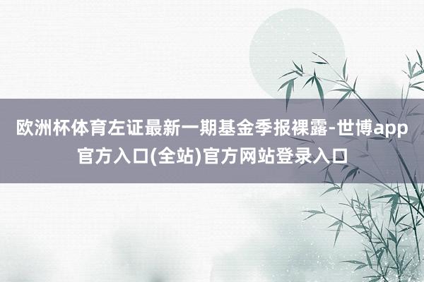 欧洲杯体育左证最新一期基金季报裸露-世博app官方入口(全站)官方网站登录入口